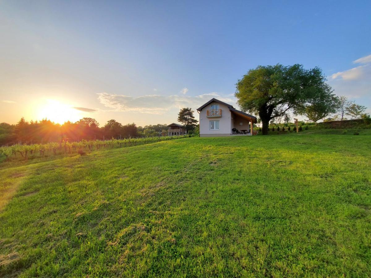 Holiday Home Vinovilla Kutjevo Exterior photo