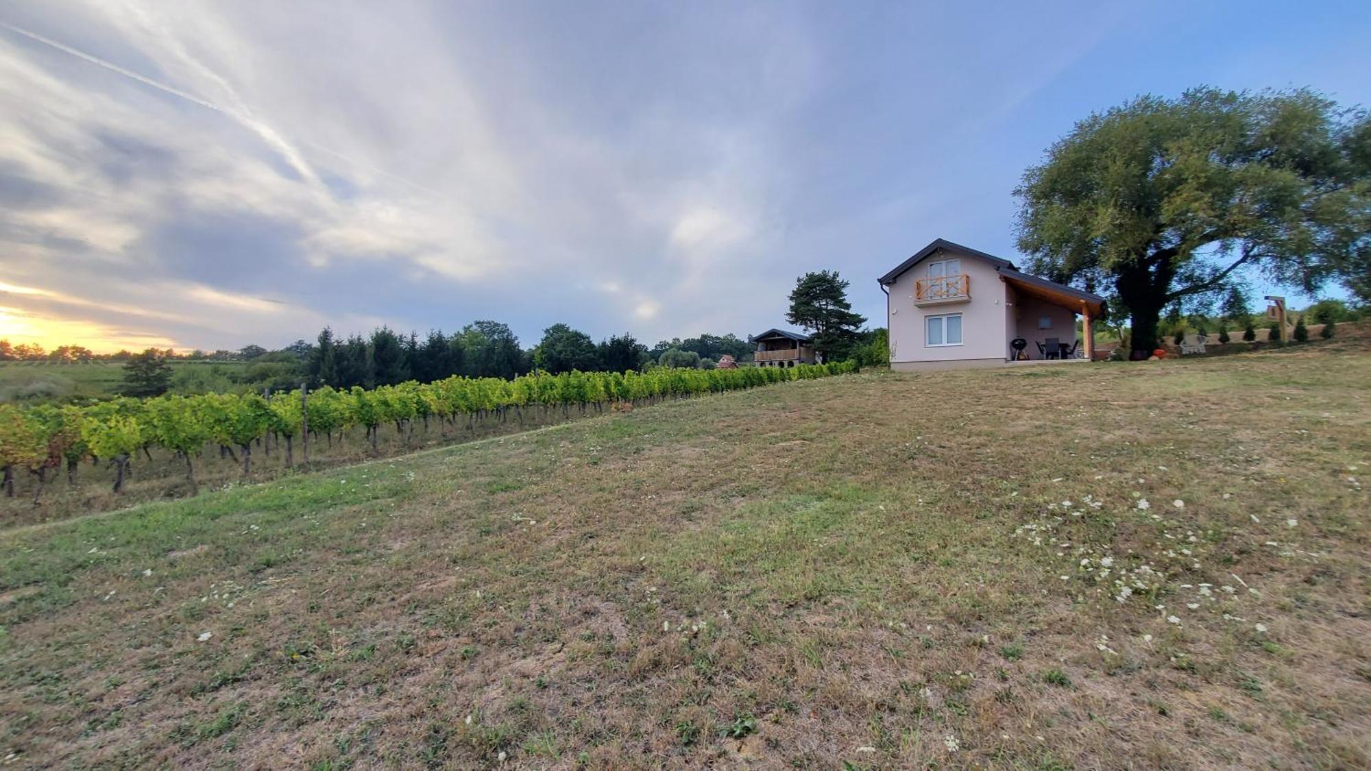 Holiday Home Vinovilla Kutjevo Exterior photo